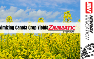 Maximizing Canola Yields with Precision Irrigation Using Zimmatic