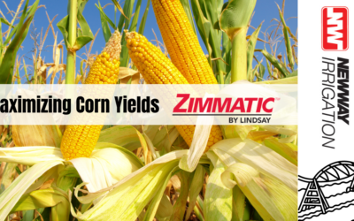 Maximizing Corn Yields with Zimmatic Pivots