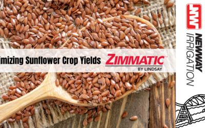 Zimmatic Pivots: The Key to Thriving Flax Production