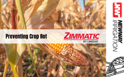 Preventing Crop Rot with FieldNet and Zimmatic Pivots: A Scientific Approach to Optimal Irrigation