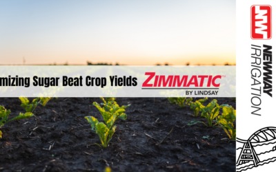 Boosting Sugar Beet Yields with Zimmatic Pivots