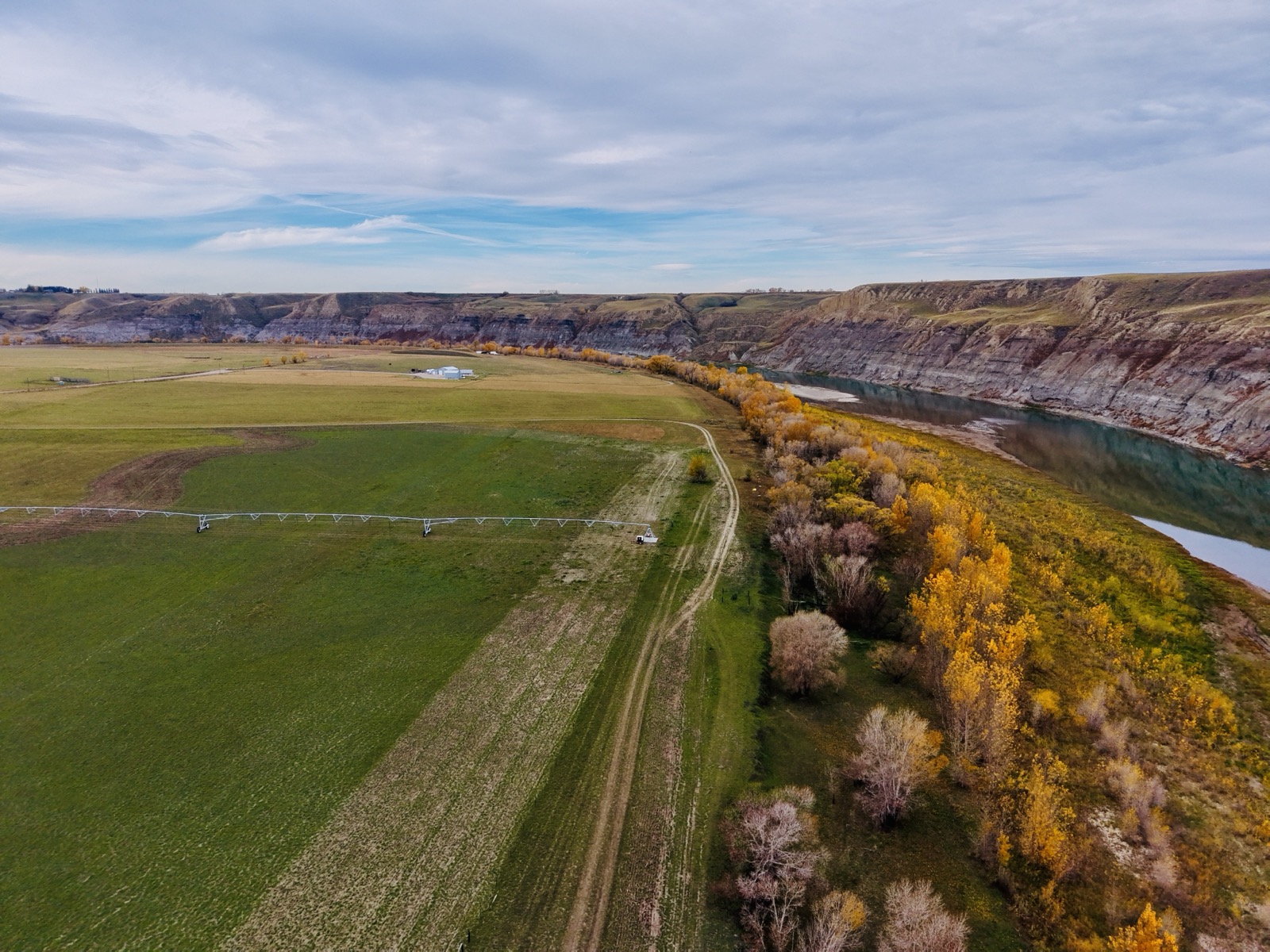 Centre pivot across a field beside the Oldman River and golden autumn trees.